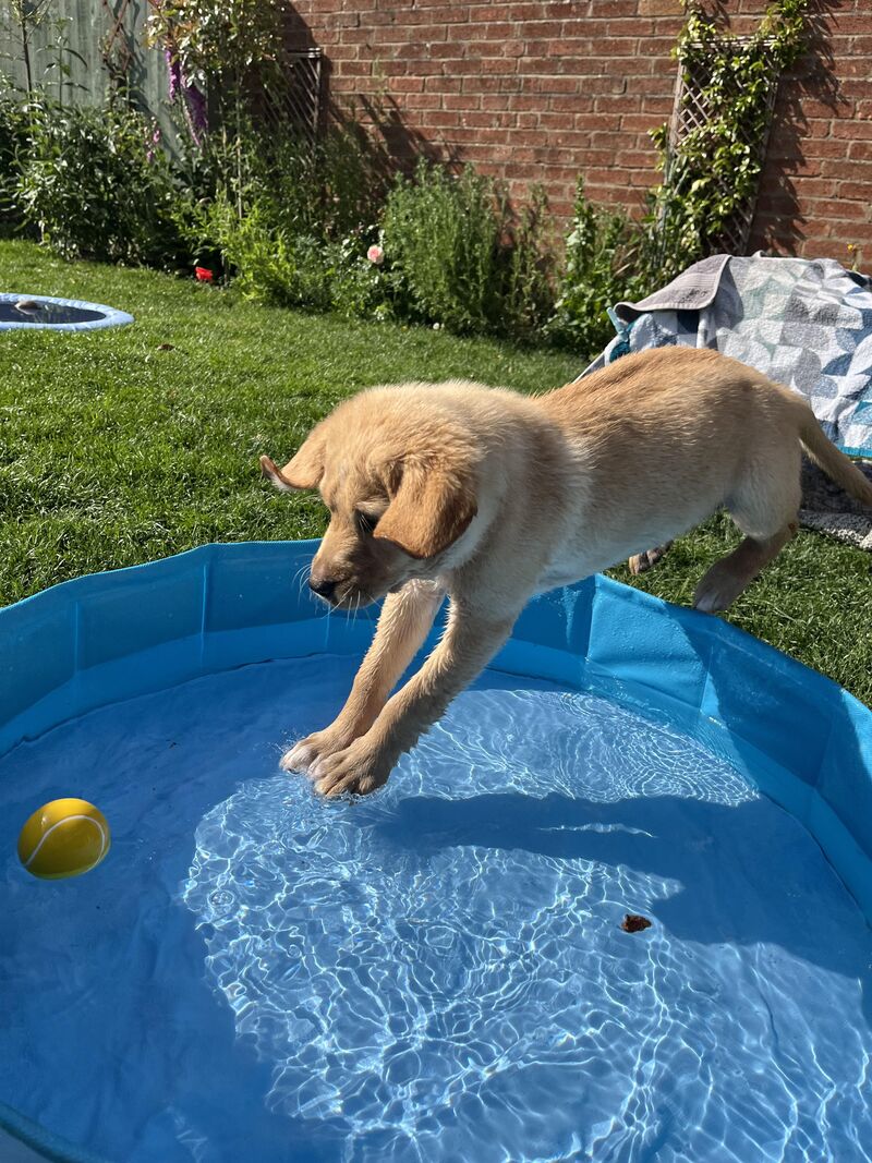 Keeping cool 💦
