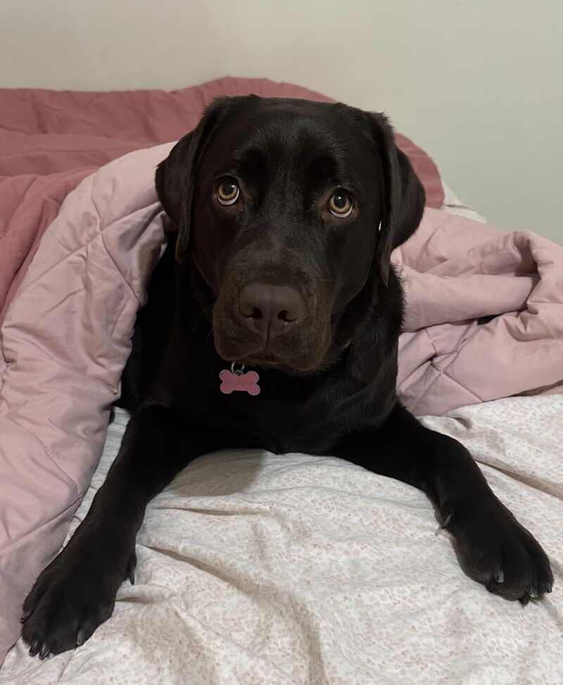 Ready for bed