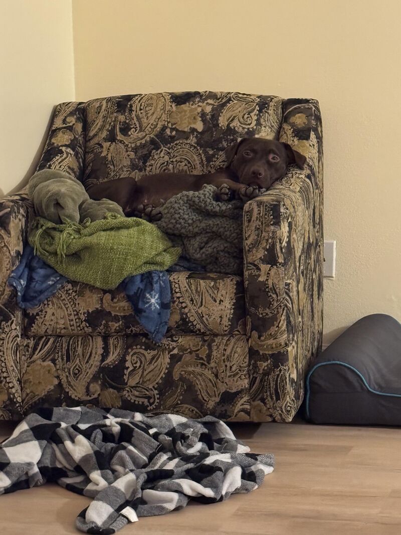 Princess and the Pea