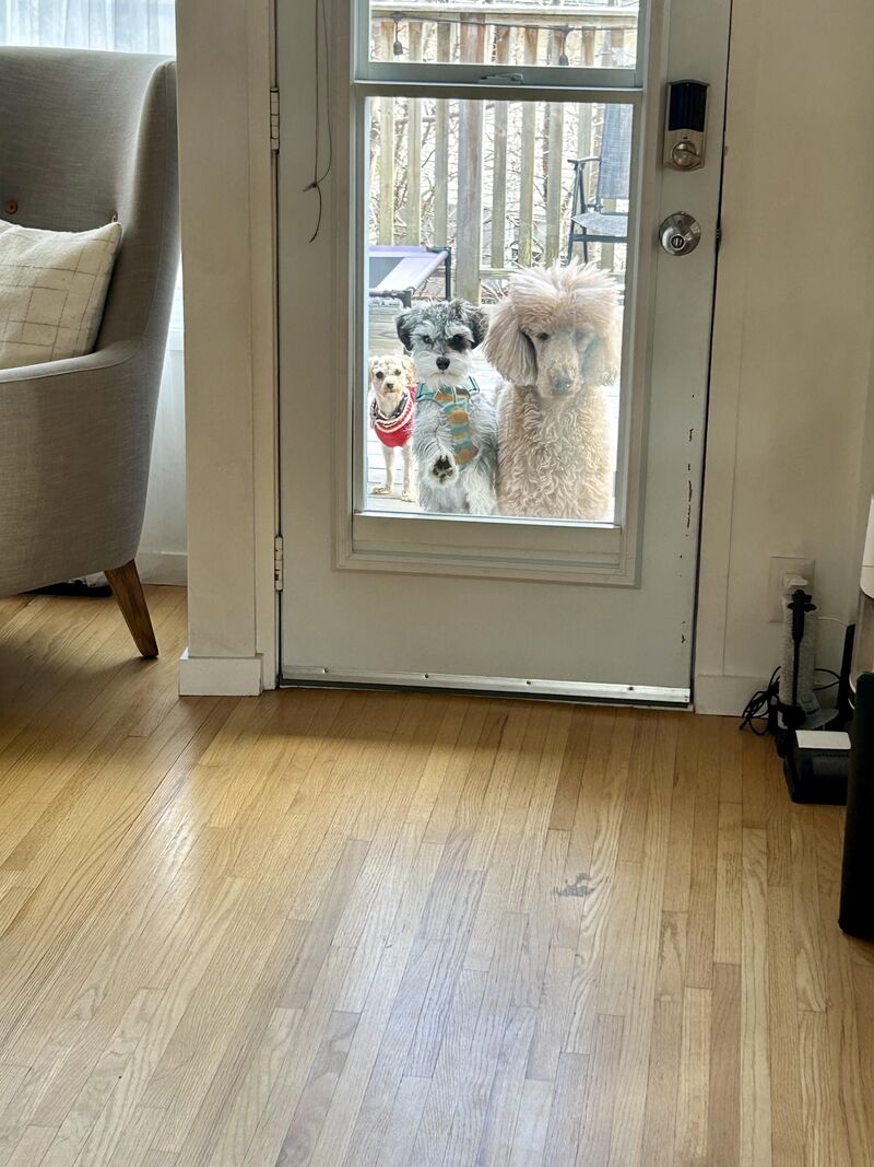 Hey, we’re right here!!