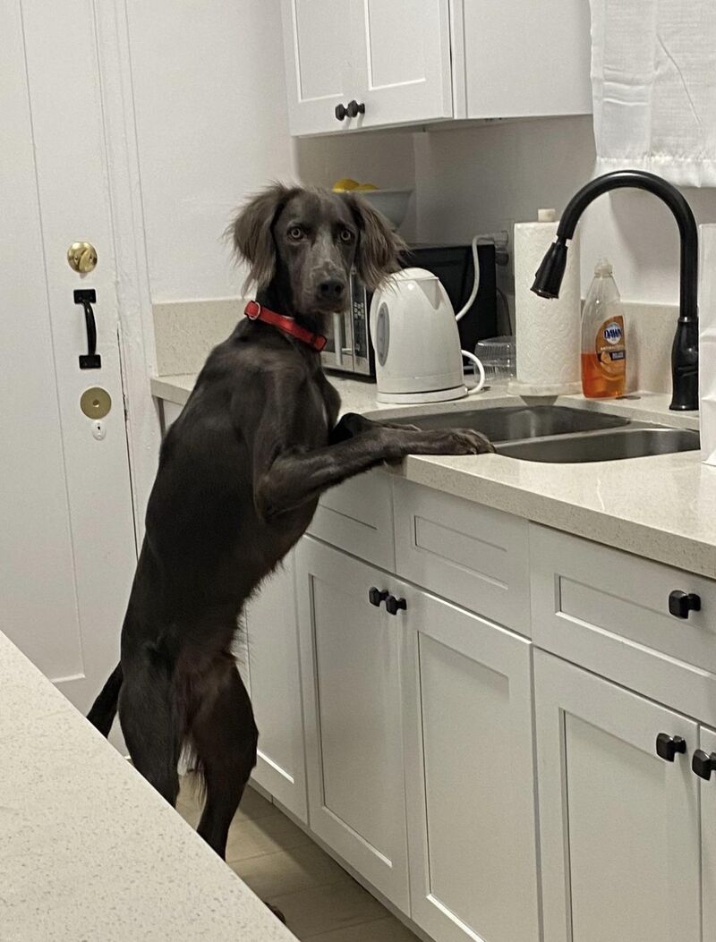 Up to no good