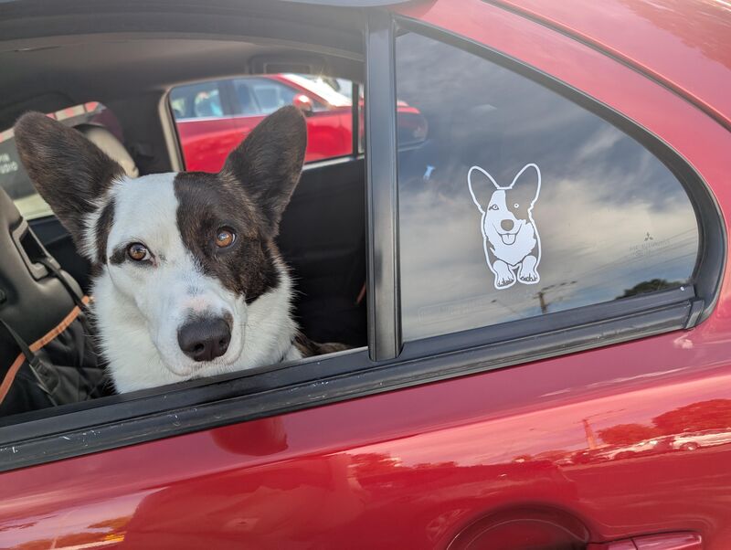 Got new vinyl sticker for the car