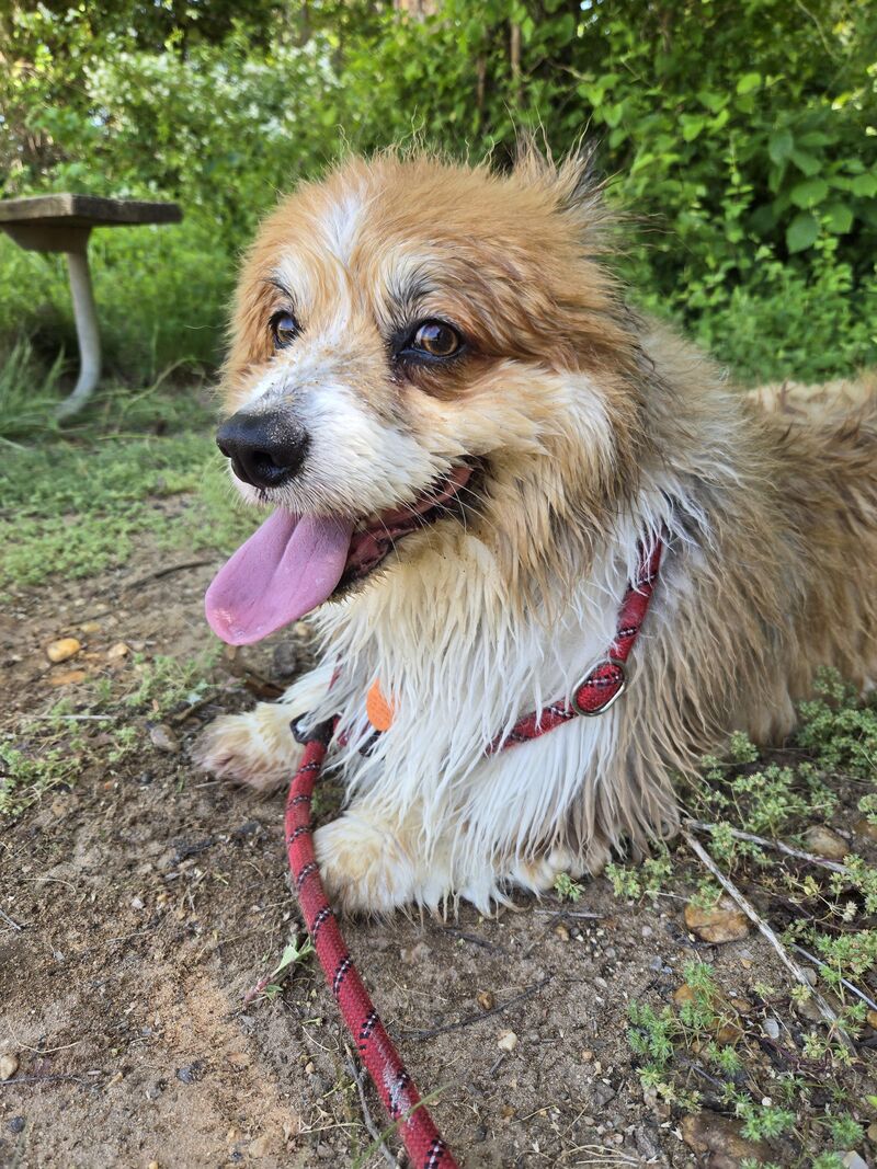 Dewi had fun at the beach on our vacation last week!