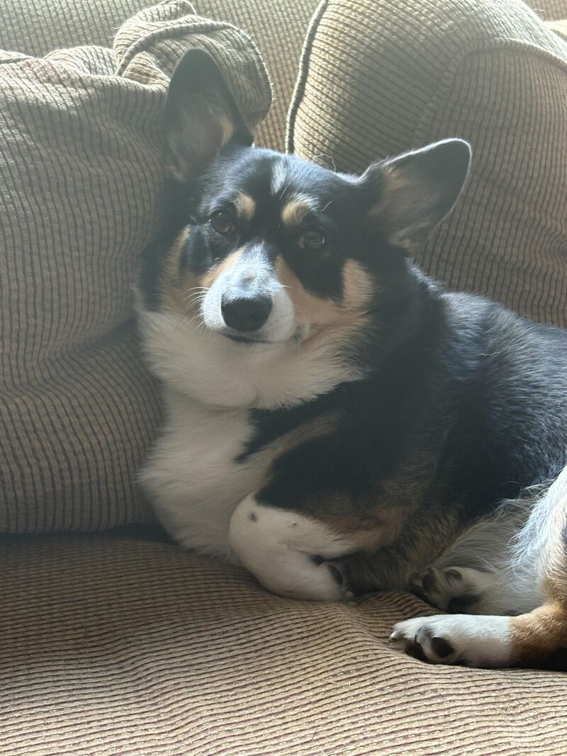 No one knows comfort better than her