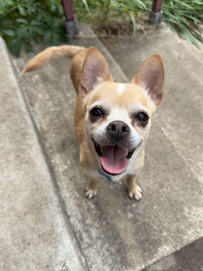 He’s a good old boy.