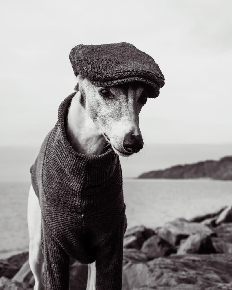 A woof who always collects his treats