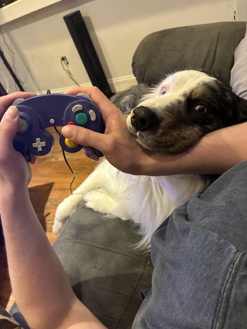 Why are you playing inside? Your attention is misdirected