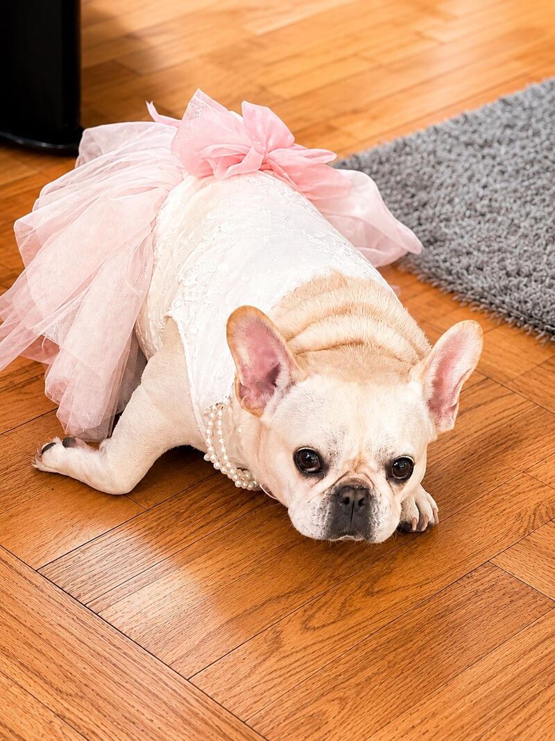 Did I mention that Rachel was my flower girl at my wedding? Flawless execution 🩷🤍