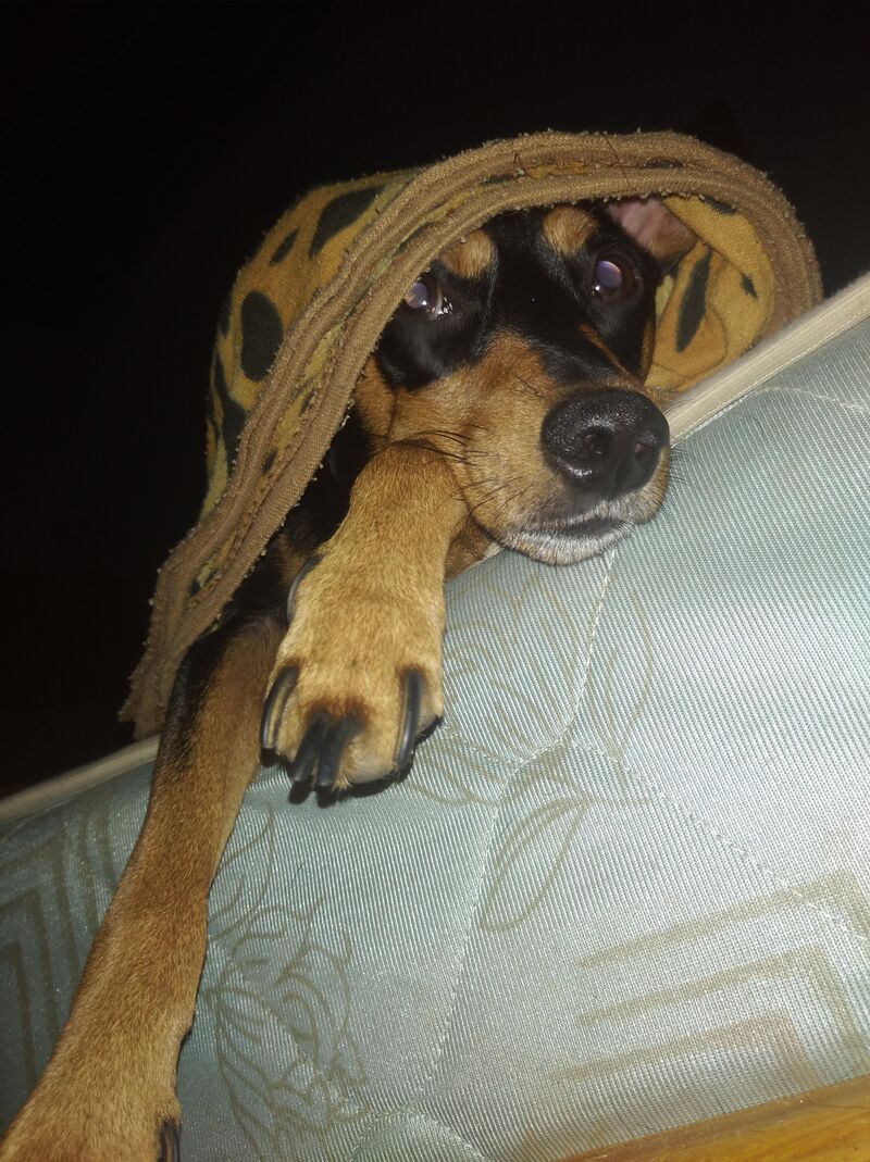 No one can say my baby doesn't have style.