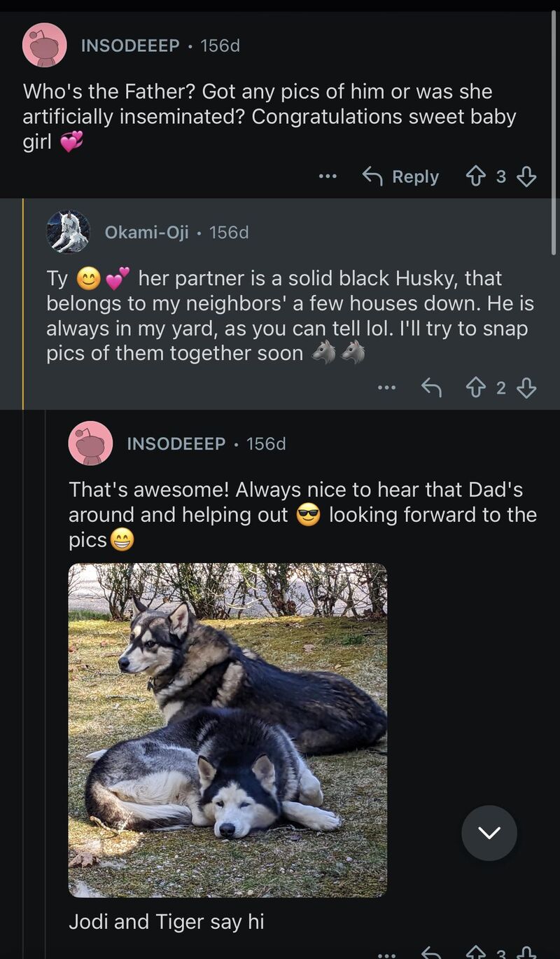 Backyard breeder alert