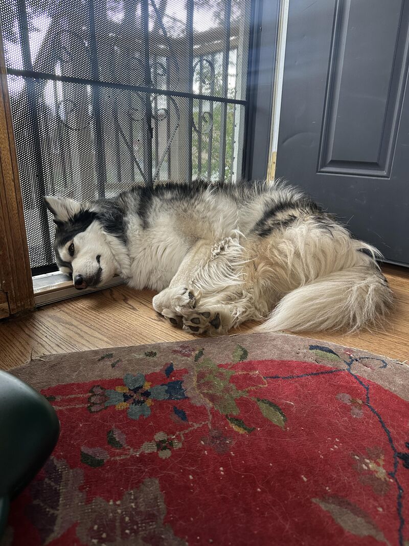 exceptional comfort