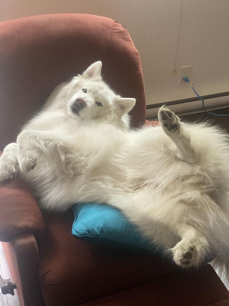 Lazy Mondays 😴💤