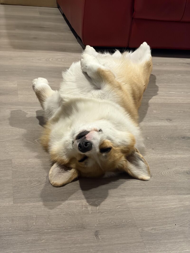 😴
