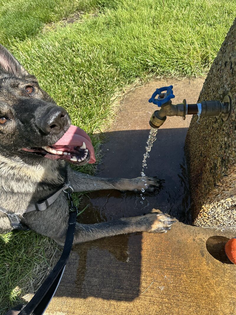 Stay Hydrated My Friends