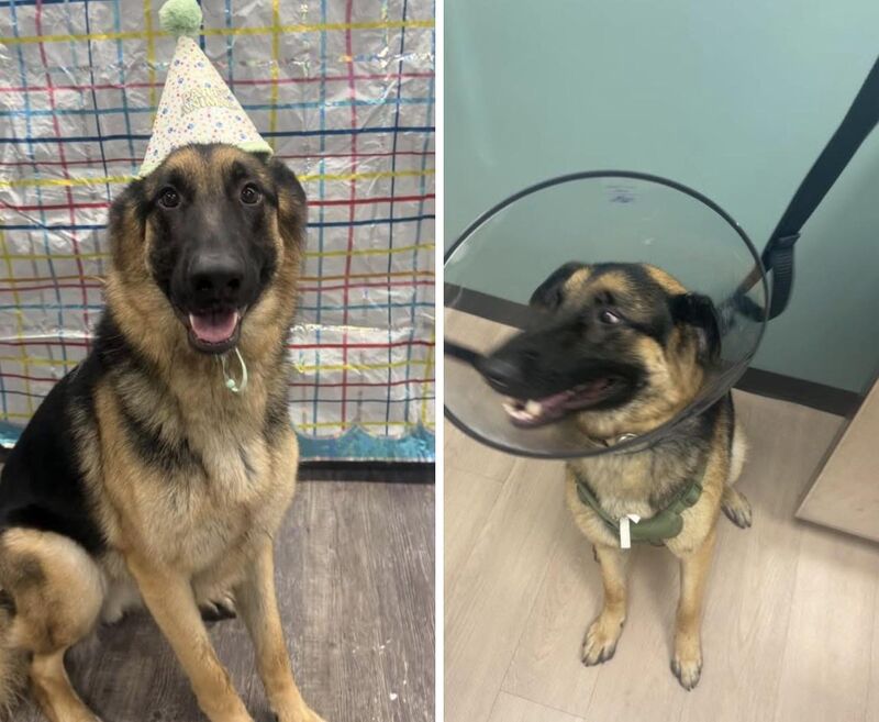 Life comes at you fast