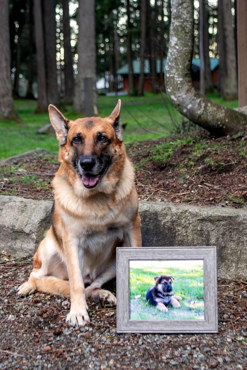 Run Free Sweet Boy