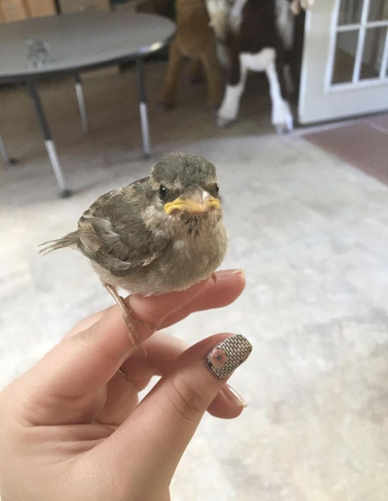 Feeling like a Disney princess