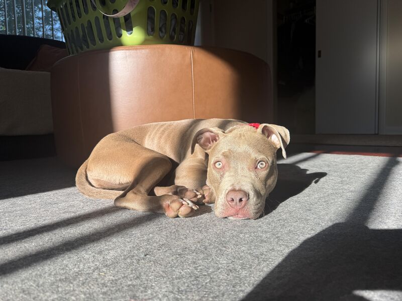 Good Morning From Fern