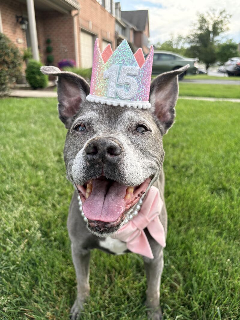 My sweet girl turned 15 today!💕