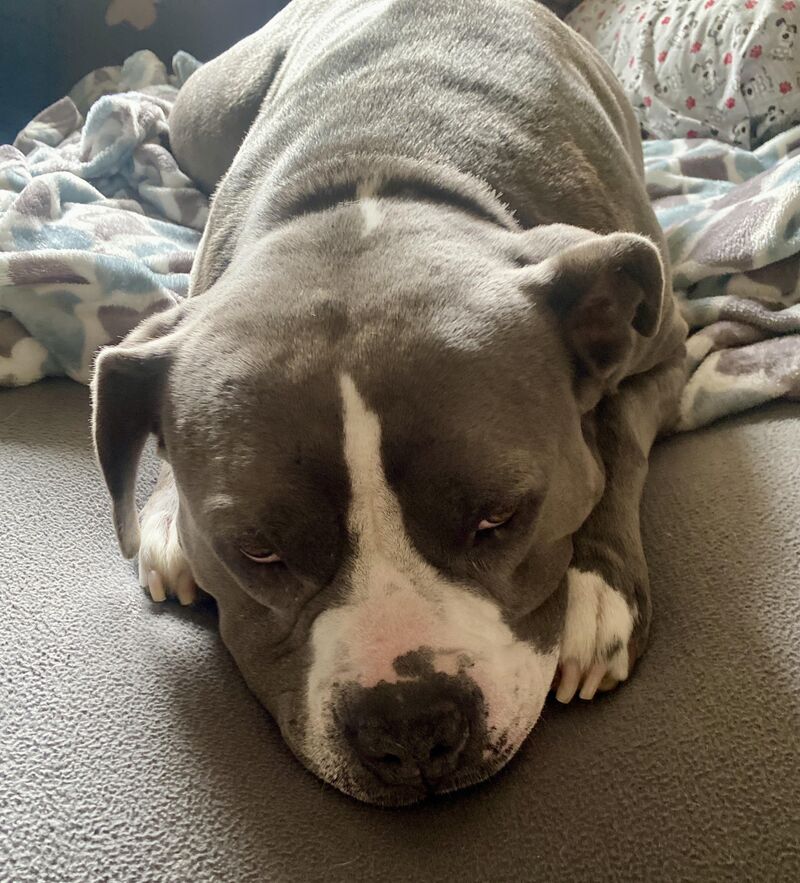 Is it ever going to stop raining pouting look