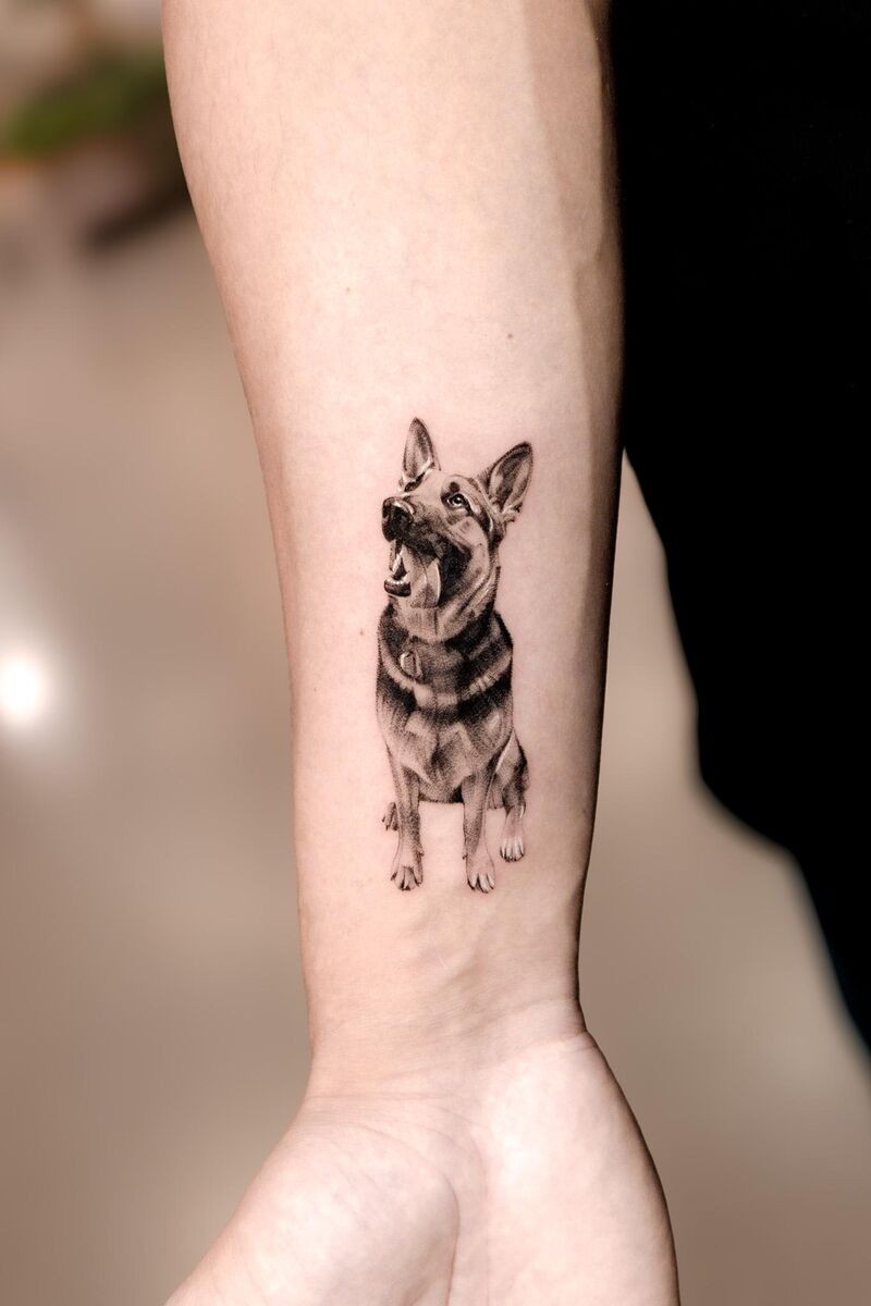 German Shepherd memorial 🖤