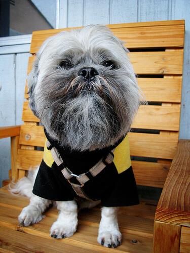 Lhasa