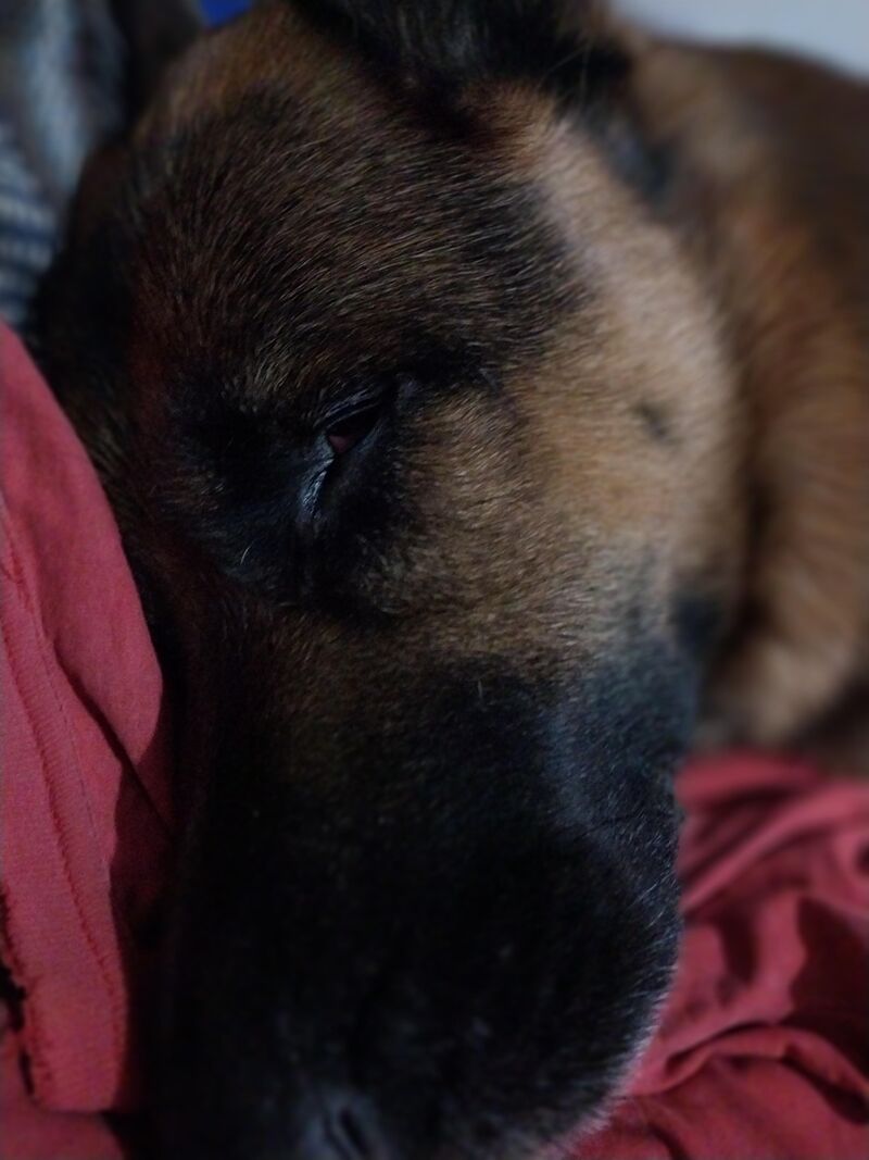 Do your babies sleep with one eye half opened too? 🥹