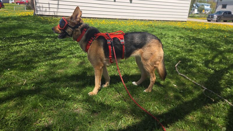 Just had her annual check up and she got an A+