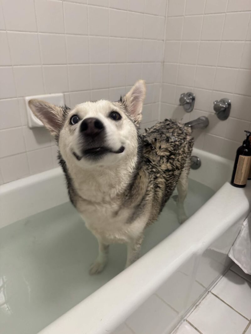Bath Time