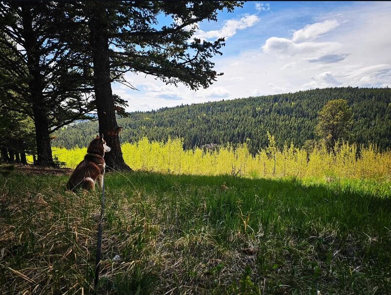 She keeps watch