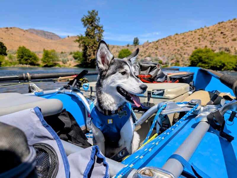 Kenai’s First River Trip