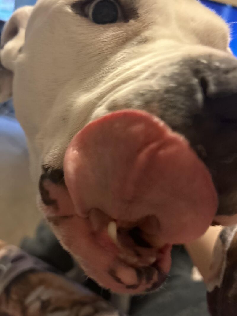 Wife sent me this pic of our pit mid convo and now I have coffee all over me.