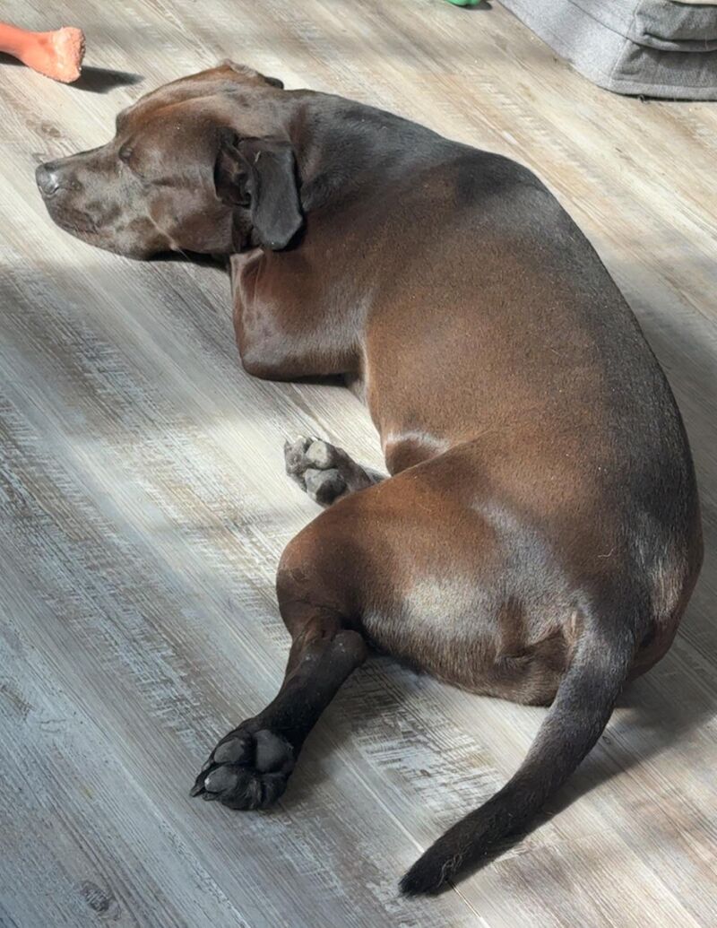 Just a sleepy potato