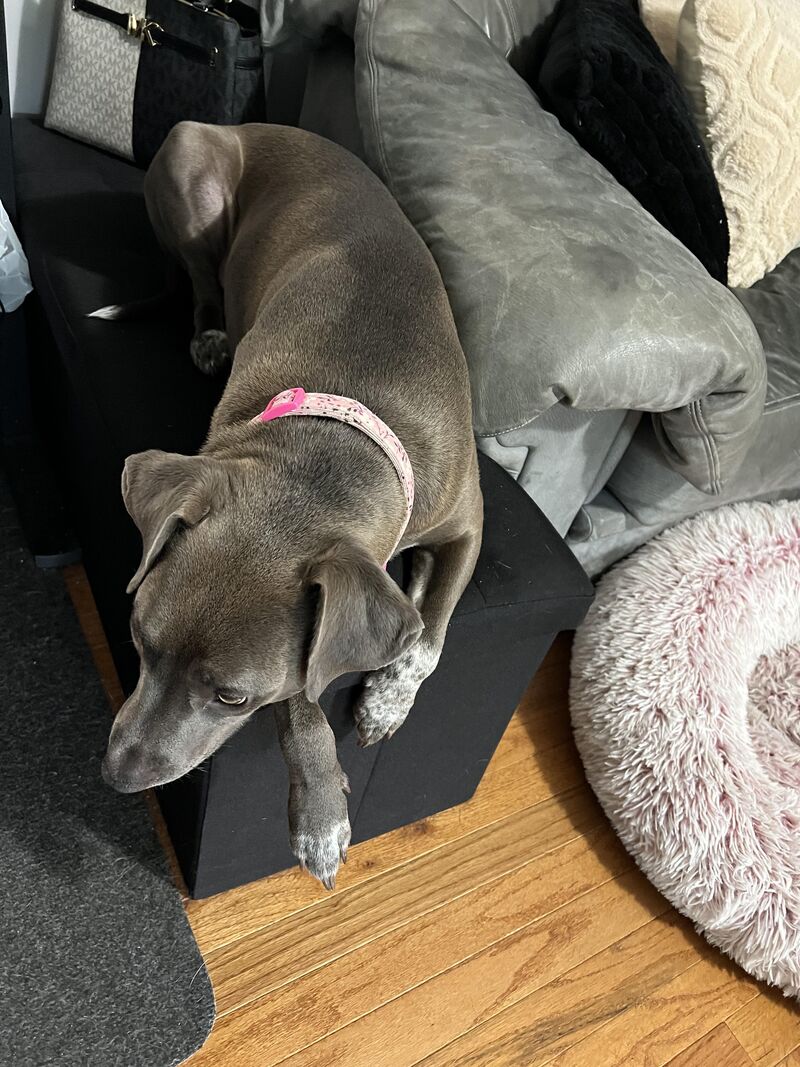 Lying with me as I work