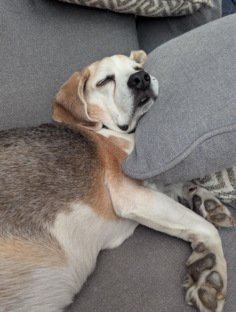 The Old Man Can Really Rock a Pillow