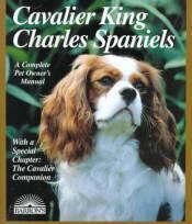 Spaniel Blenheim