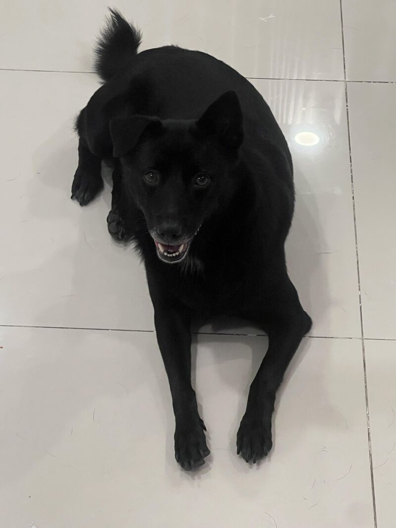 BB says feed me.