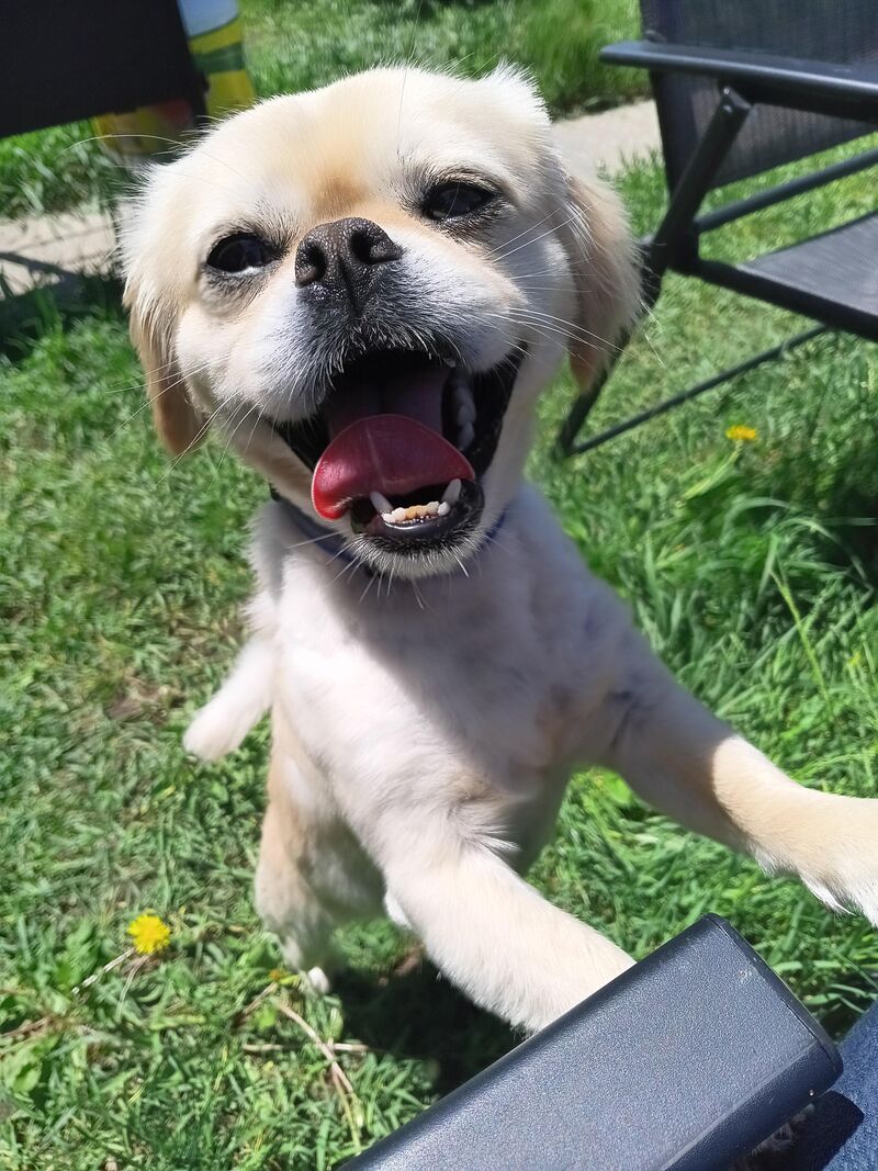 Little cutie