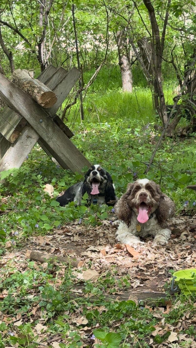 Happy boys