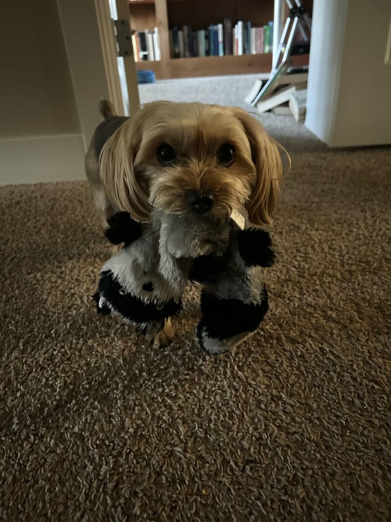 Play with me!