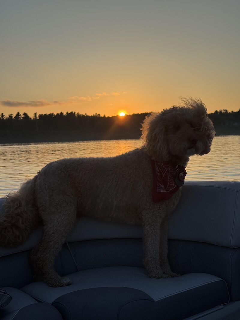 Evening boat ride