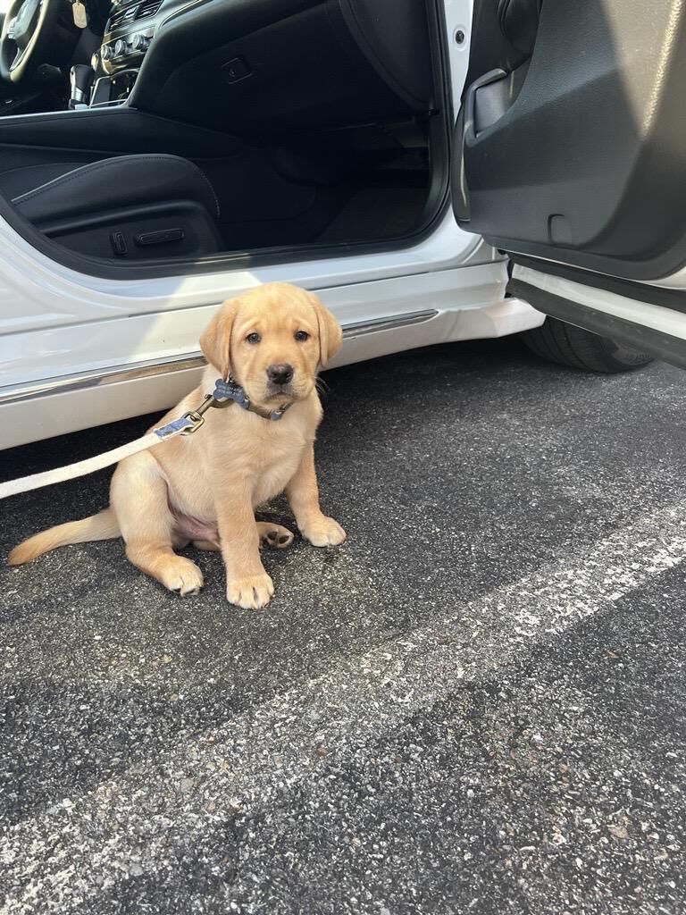 New to this community. Meet Dexter.