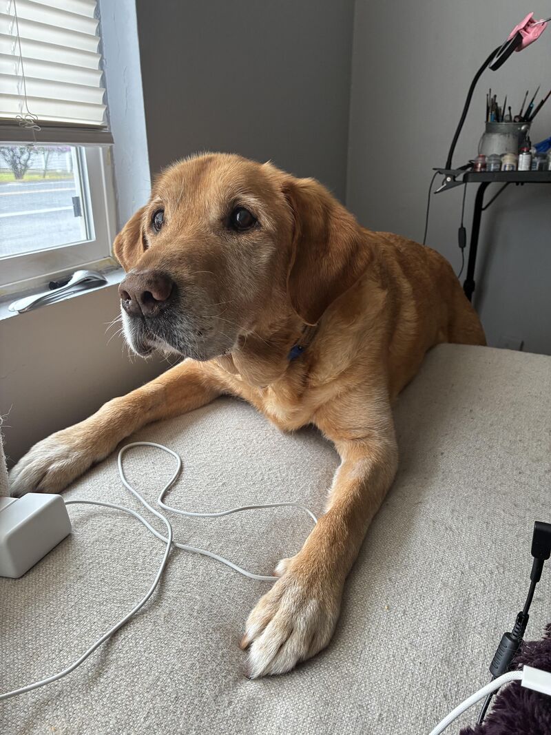 Cooper couldn’t decide if he wanted to be up or down