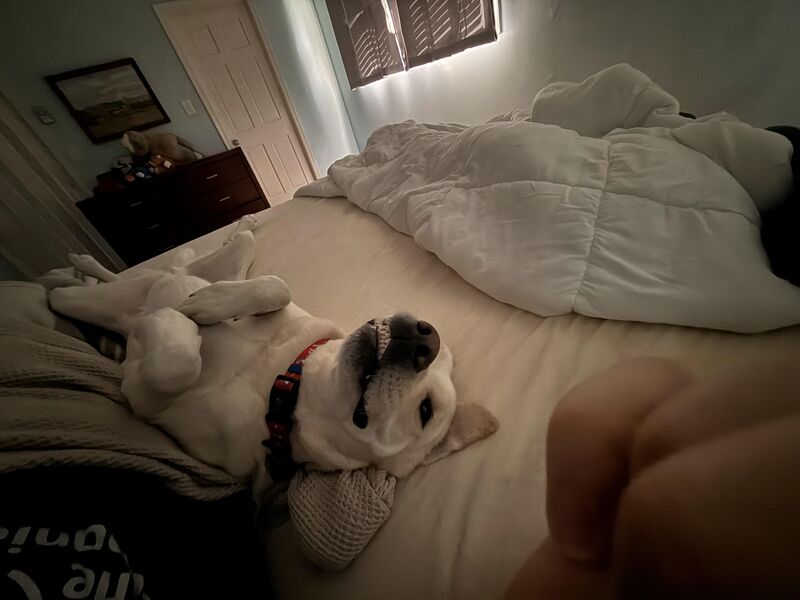 The face I woke up to today…