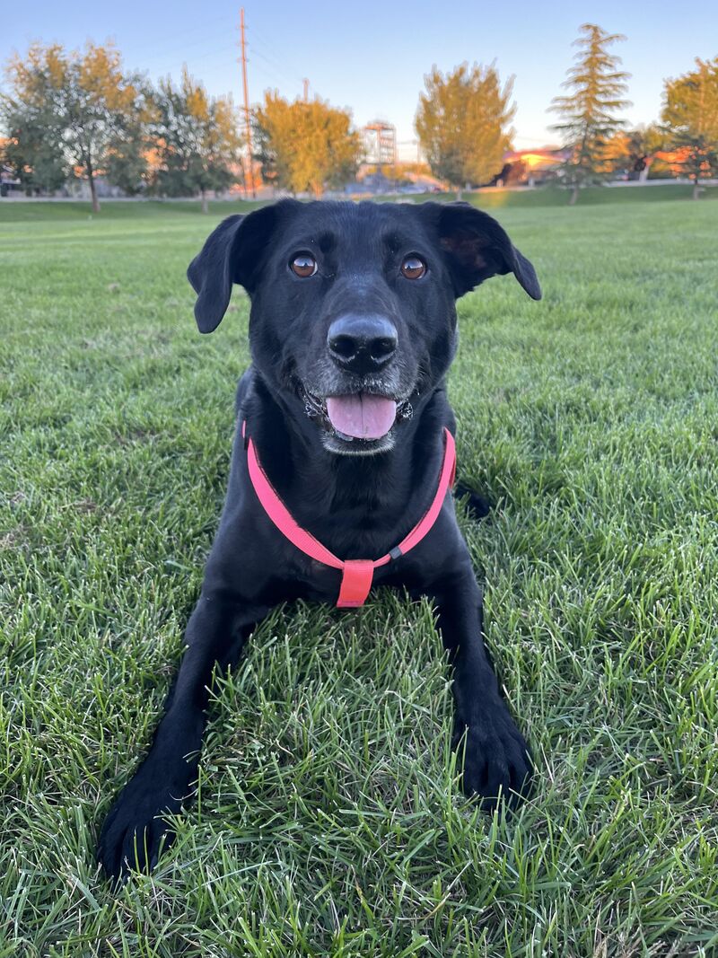 Prettiest girl in the world.