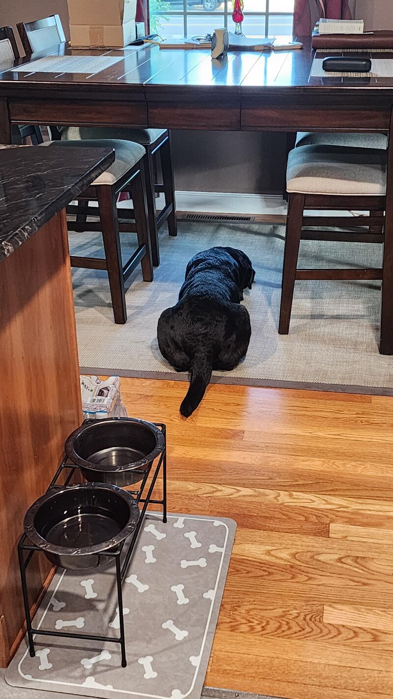 We didnt get a second dinner, so now we are pouting!