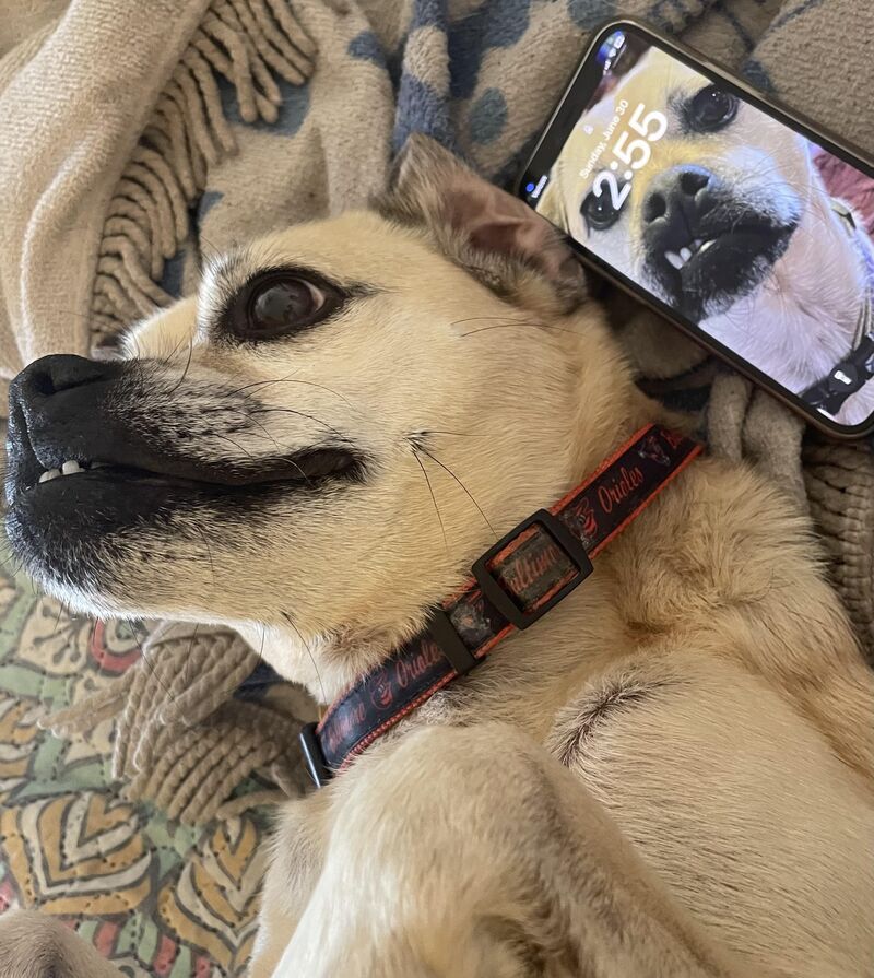double the toofs