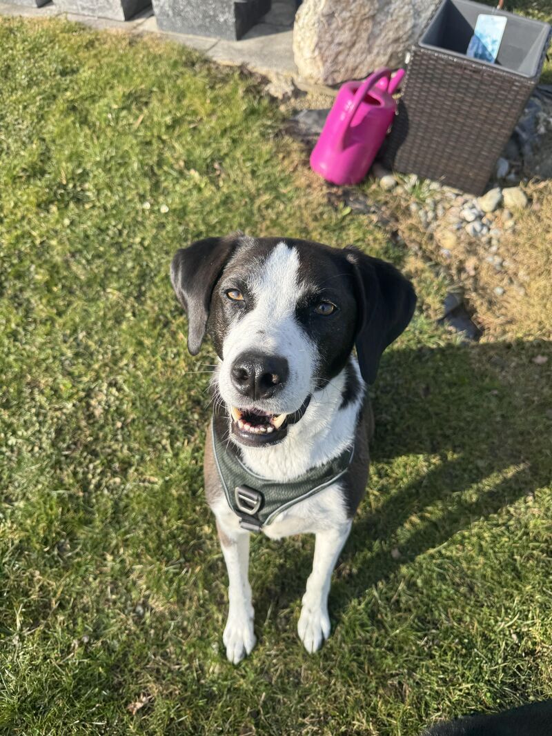 He Loves Sunny Days 😋