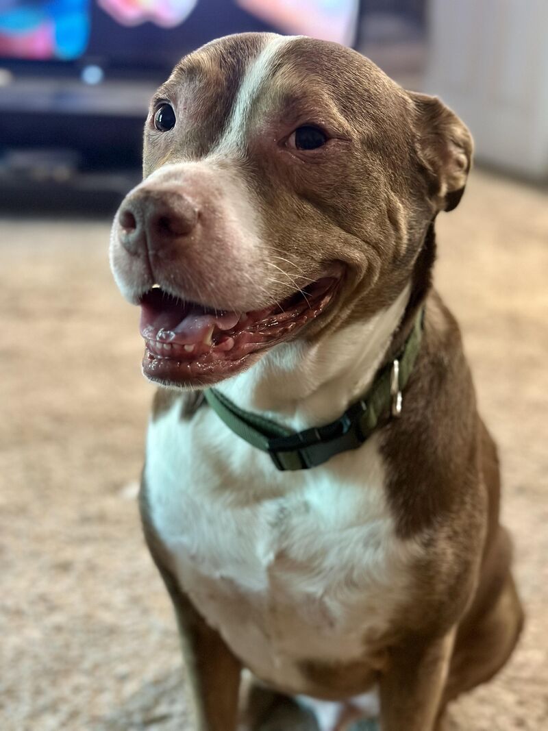Somebody just got some of my ribeye