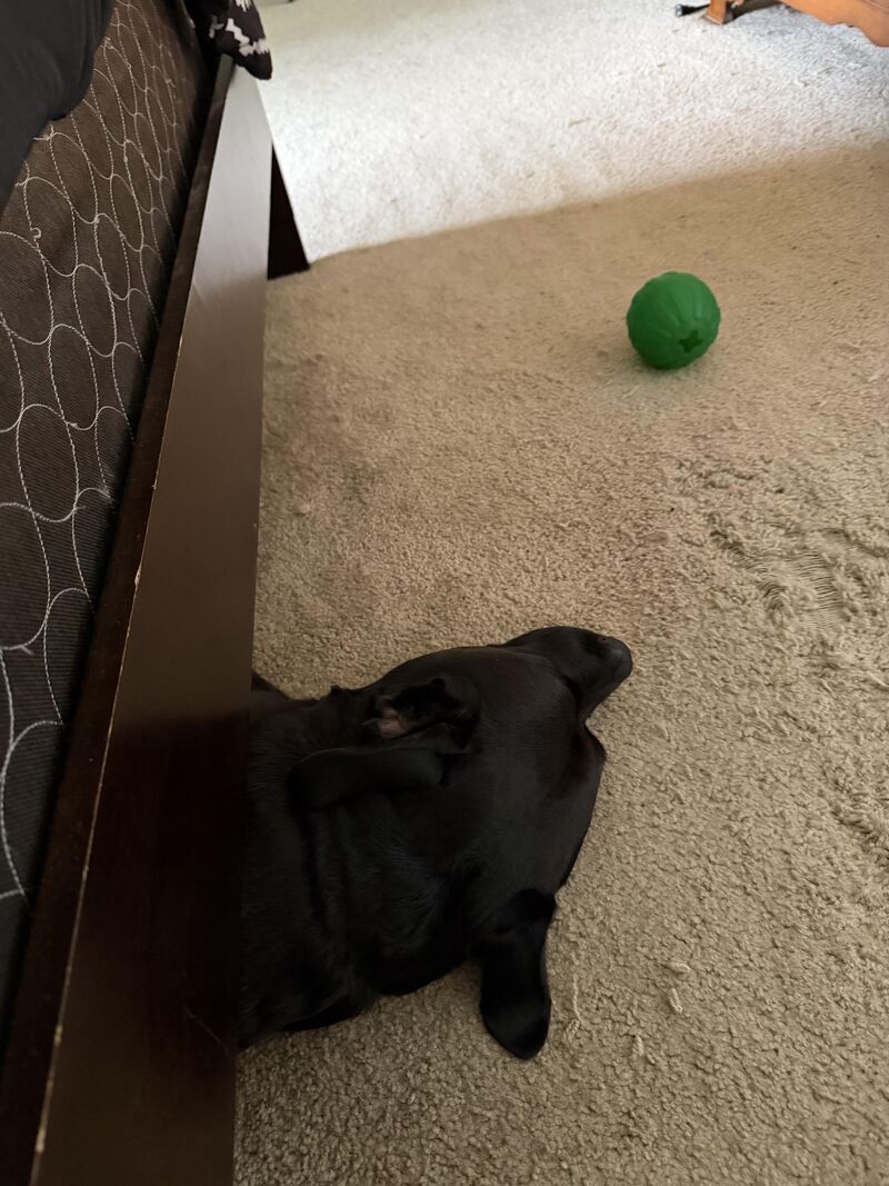 Does anyone else experience this when they wake up???